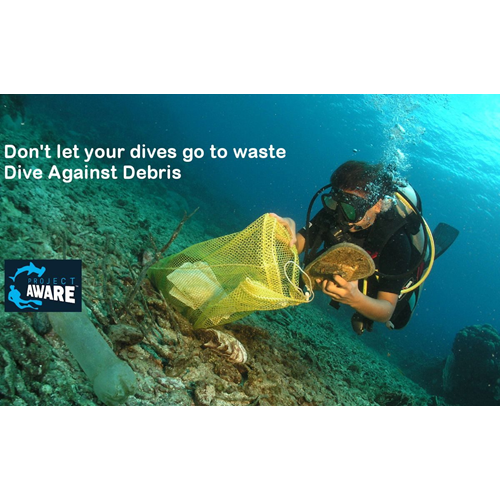 AWARE - Dive Against Debris